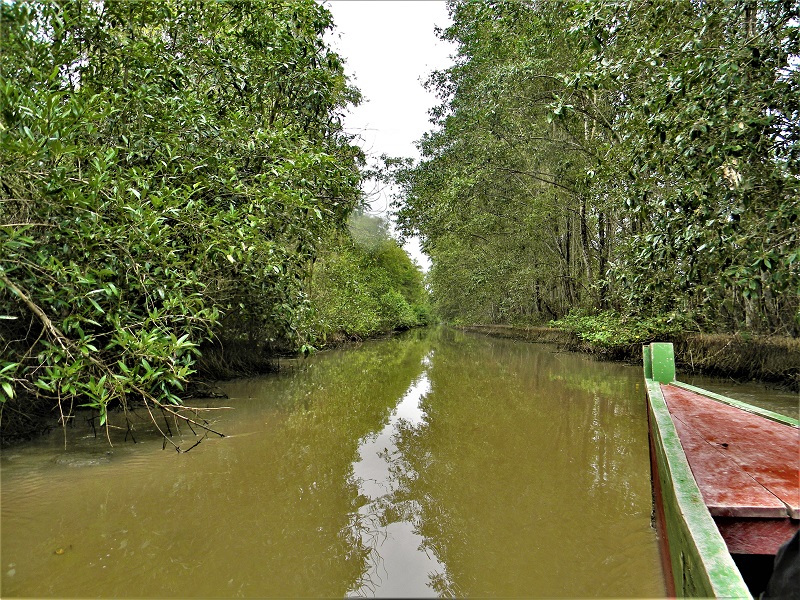 Bigi Pan kreek - Orange Suriname