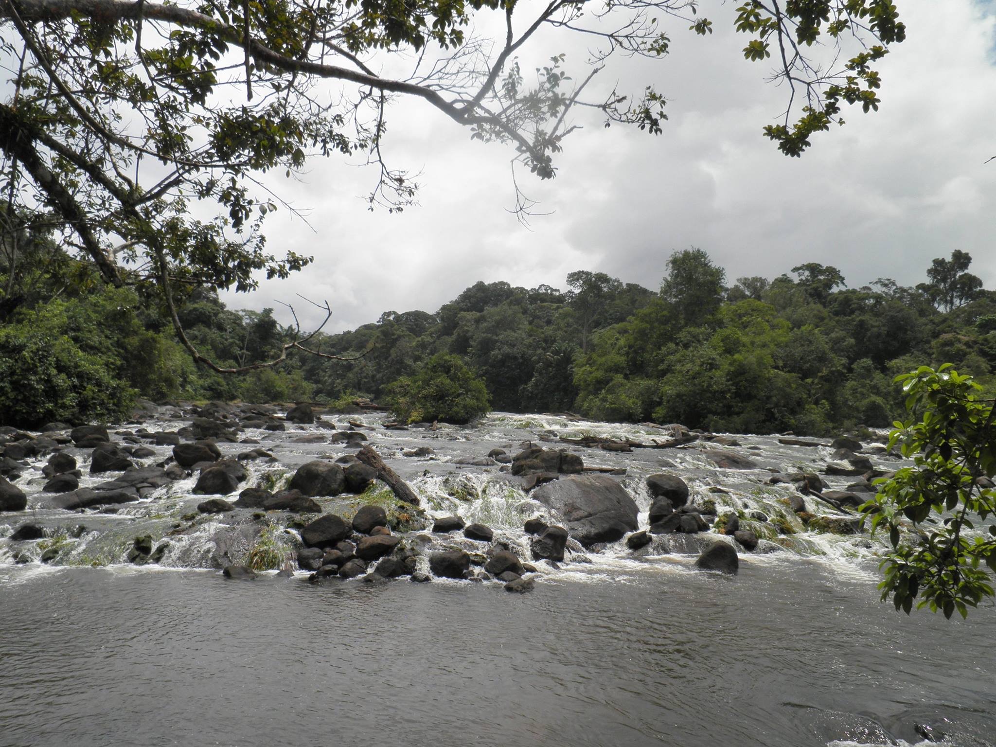 Gran Rio - Sintia dam - Orange Suriname