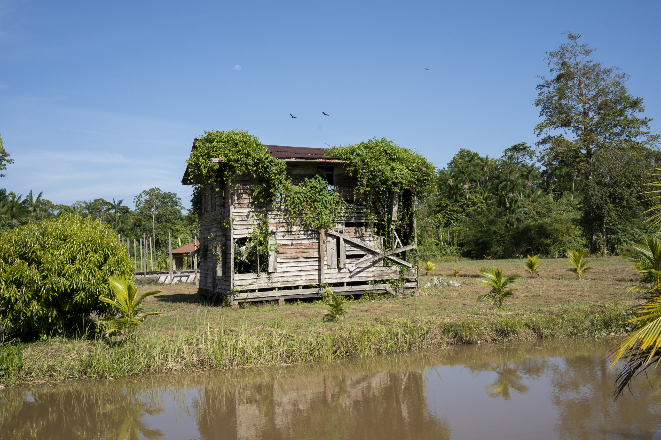 Joden Savanne River cruise Orange Travel